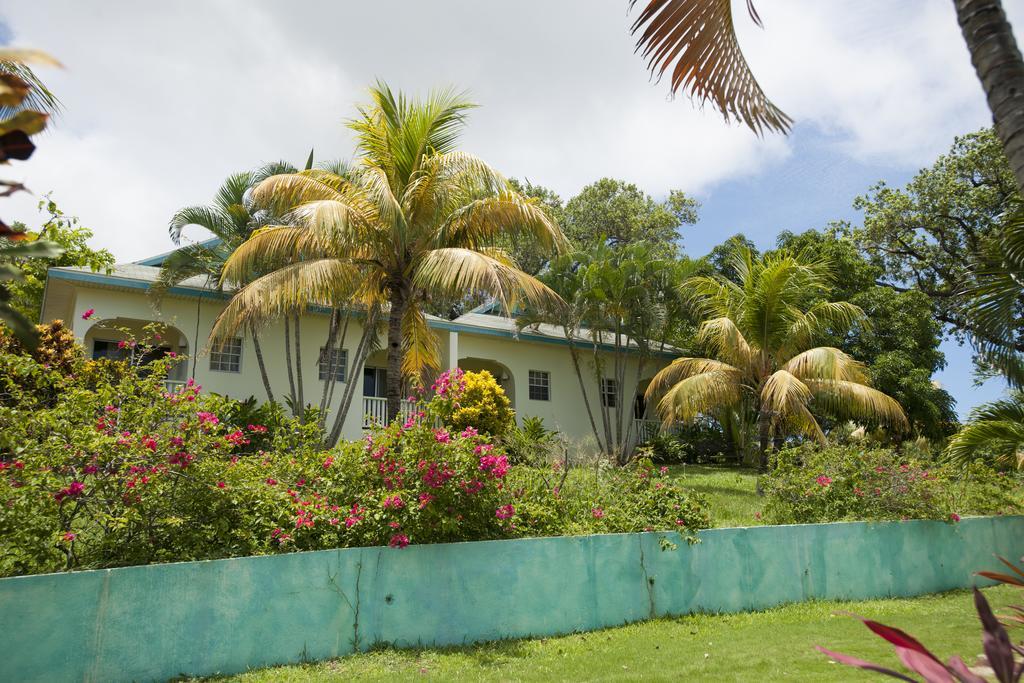 Turquoise Bay Dive & Beach Resort Juticalpa  Room photo